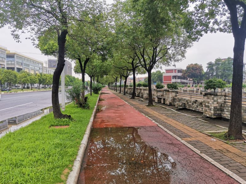 微信图片_20200527142142.jpg